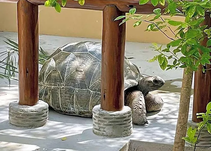 Tropical Hideaway Hotell 4*